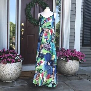 Nicole Miller NY Maxi Dress Tropical 6